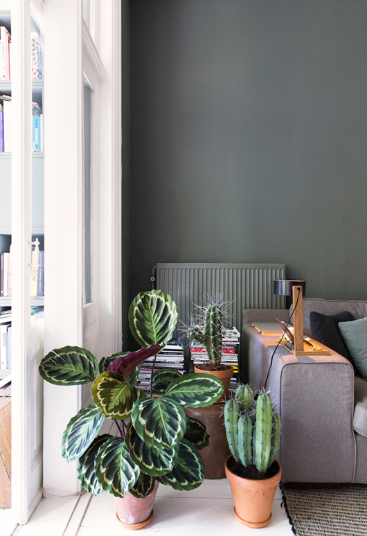colores_oscuros_vivienda_luminosa_blog_ana_pla_interiorismo_decoracion_3