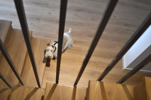 barandilla_hierro_casamya_blog_ana_pla_interiorismo_decoracion_6