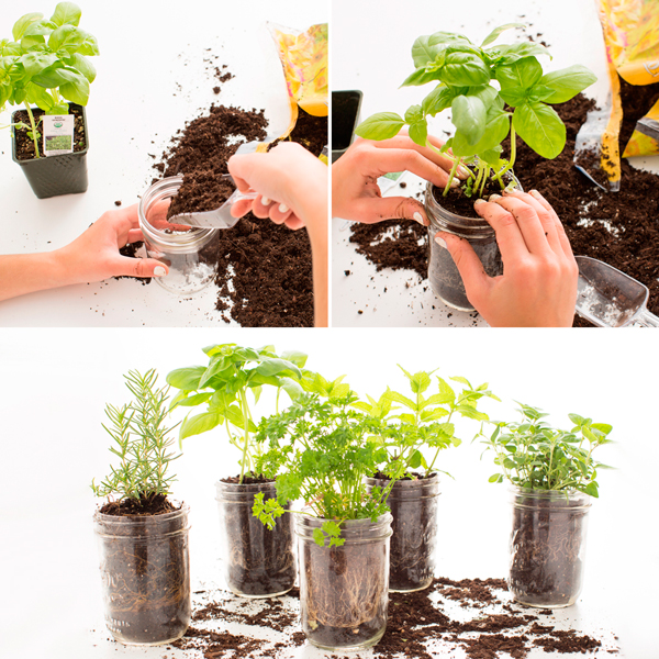 diy_jardín_vertical_plantas_aromaticas_blog_ana_pla_interiorismo_decoracion_9