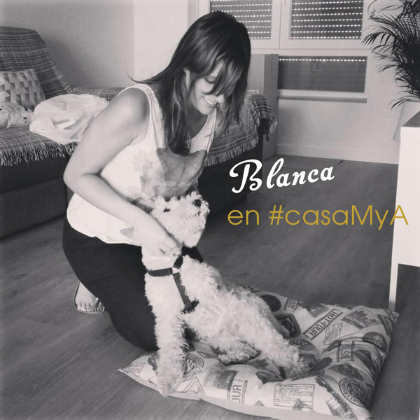 fox_terrier_blanca_casamya_blog_ana_pla_interiorismo_decoracion_1